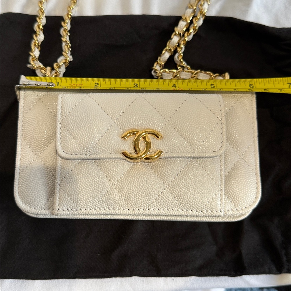 Chanel Monogram Envelope Chain Wallet - Picture 5 of 8